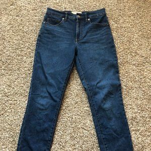 Everlane High-Rise Stretch Skinny Jean